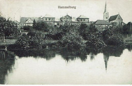 HAMMELBURG-KIRCHE - Hammelburg