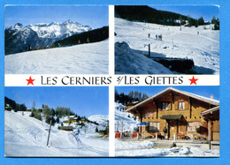 R123, Les Cerniers S/ Les Giettes, Près Monthey, 0866, Perrochet, GF, Circulée 1970 - Monthey