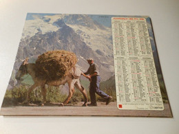 CA005 - Calendrier De 1981 - Almanach Des PTT - La Meije / Vallée De La Clarée (Hautes-Alpes) - Groot Formaat: 1981-90