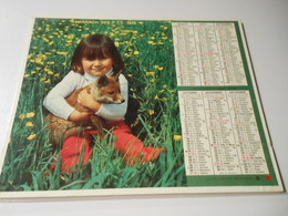 CA006 - Calendrier De 1976 - Almanach Des PTT - Renardeau / Berger Allemand - Formato Grande : 1971-80