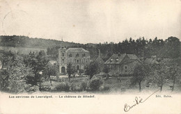 Les Environs De LOUVIGNE - Le Château De Blindef - Carte Circulé En 1907 - Sprimont