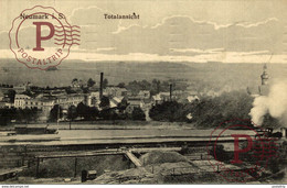 AK Neumark I. Sa., Totalansicht  1912 - Neumark