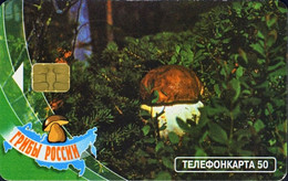 RUSSIA - RUSSIE - RUSSLAND MOSCOW 50 Unit Mushrooms Brown/white USED Phonecard - Levensmiddelen