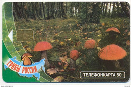 RUSSIA - RUSSIE - RUSSLAND  MOSCOW 50 Unit Mushrooms PODOSINOVIK USED Phonecard - Alimentazioni
