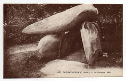 CPA   22     TREBEURDEN      -     LE DOLMEN - Dolmen & Menhirs