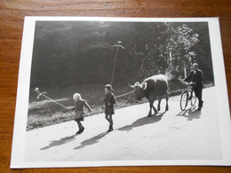 Hans Baumgartner Im Thurtal 1944 Neuve TBE Enfants Paysan Vache Vélo - Andere Fotografen