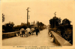 Mareuil Sur Lay * Route De La Roche Sur Yon * Attelage De 4 Boeufs Vendéens - Mareuil Sur Lay Dissais