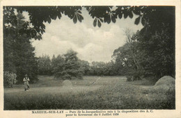 Mareuil Sur Lay * Le Parc De La Jacquelinière - Mareuil Sur Lay Dissais