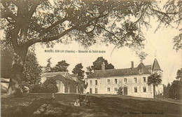 Mareuil Sur Lay * Le Domaine De St André * Château - Mareuil Sur Lay Dissais