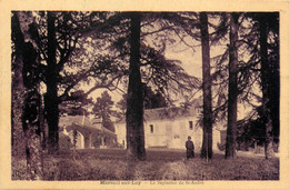 Mareuil Sur Lay * La Sapinière Du Domaine St André - Mareuil Sur Lay Dissais