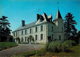 Mareuil Sur Lay * Vue Sur Le Château St André - Mareuil Sur Lay Dissais