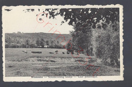 Westoutre - Schilderachtig Hoekje - Postkaart - Heuvelland