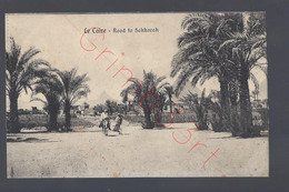 Le Caire - Road To Sakkarah - Postkaart - Cairo