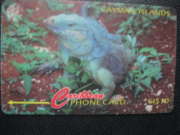 Télécarte  Ile Cayman - Kaaimaneilanden