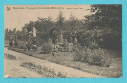 * Bassevelde (Assenede - Oost Vlaanderen) * (Nels, Ern Thill) Pensionnat Des Dames Bernardines, Jardin Du Sacré Coeur - Assenede