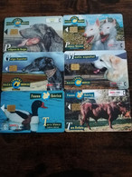 SPAIN/ ESPANA  6X  FAUNA IBERICA /ANIMALS  ALL DIFFERENT  SERIE 5  USED  CHIP CARDS  **8812** - Basisausgaben