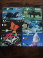 SPAIN/ ESPANA  6X  FAUNA IBERICA /ANIMALS  ALL DIFFERENT  SERIE 6  USED  CHIP CARDS  **8813** - Basisausgaben