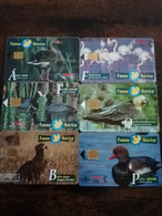 SPAIN/ ESPANA  6X  FAUNA IBERICA /ANIMALS  ALL DIFFERENT  SERIE 9  USED  CHIP CARDS  **8816** - Basisausgaben