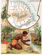 Chromos -COR11256 - Carte De La Guyane Française - Homme - Plantes - 8x11cm Env. - Andere & Zonder Classificatie