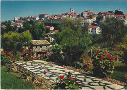 Delcampe - VENCE   VUE GENERALE  ANNEE 1974 - Vence