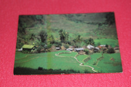 Philippines Manila The Rice Terraces In Bated Banaue Ifugao Parts Of Luzon NV - Philippines