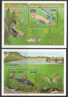 1991 Sierra Leone Fish Poisson Fishing Catfish  Complete Set Of 2 Souvenir Sheets MNH - Sierra Leone (1961-...)