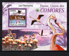 COMORES 2009- MNH (AVES)_ FAU0670 - Flamingos