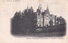 Goyet - Château - Gesves - Circulé En 1907 - TBE - Gesves