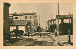 VAR  LA LONDE LES MAURES  Route Des Bormettes - La Londe Les Maures