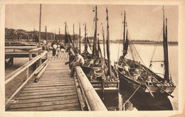 LE CROTOY : ARRIVEE DES BATEAUX DANS LE PORT - Le Crotoy