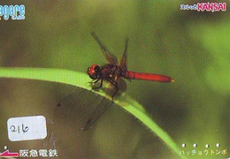 Dragonfly Libellule Libelle Libélula - Insect (216) - Matériel