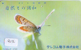 Dragonfly Libellule Libelle Libélula - Insect (212) - Otros & Sin Clasificación
