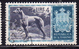 REPUBBLICA DI SAN MARINO 1956 CANI DOGS LEVRIERO INGLESE LIRE 4 USATO USED OBLITERE' - Usati