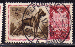 REPUBBLICA DI SAN MARINO 1956 CANI DOGS BOXER LIRE 5 USATO USED OBLITERE' - Usati