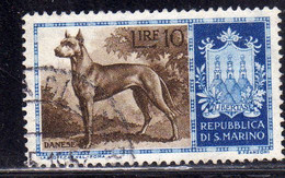 REPUBBLICA DI SAN MARINO 1956 CANI DOGS DANESE LIRE 10 USATO USED OBLITERE' - Usati