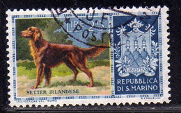 REPUBBLICA DI SAN MARINO 1956 CANI DOGS SETTER IRLANDESE LIRE 25 USATO USED OBLITERE' - Usati