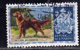 REPUBBLICA DI SAN MARINO 1956 CANI DOGS SETTER IRLANDESE LIRE 25 USATO USED OBLITERE' - Usati