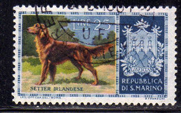 REPUBBLICA DI SAN MARINO 1956 CANI DOGS SETTER IRLANDESE LIRE 25 USATO USED OBLITERE' - Usati