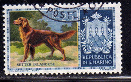 REPUBBLICA DI SAN MARINO 1956 CANI DOGS SETTER IRLANDESE LIRE 25 USATO USED OBLITERE' - Usati