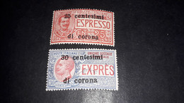 FL008 TERRE REDENTE EMISSIONI GENERALI 1919 ESPRESSI D'ITALIA SOPRASTAMPATI IN CENTESIMI 2 VALORI "XX" - Altri & Non Classificati