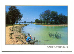 SAUZE VAUSSAIS (Voir Description) - 418 - Sauze Vaussais
