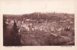 CHAILLAND - Vue Générale - Robert-Barbot éd. - Chailland