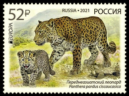 Europa CEPT 2021 RUSSIA Endangered National Wildlife - Fine Stamp MNH - Ungebraucht