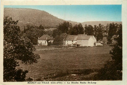 Marey Sur Tille * Vue Sur Le Moulin Roche St Loup * Minoterie - Autres & Non Classés