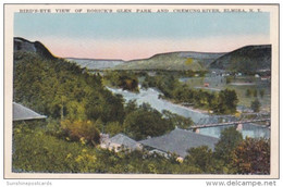 New York Elmira Birds Eye View Of Rorick's Glen Park And Chemung River - Adirondack