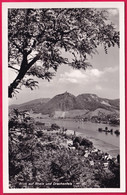 AK: Echtfoto - Blick Auf Rhein Und Drachenfels, Ungelaufen (Nr.316) - Drachenfels