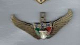 BREVET PARA COMMANDO MEXIQUE - Luftwaffe