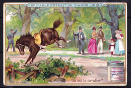 LIEBIG Sang. 348 De 1892 ---- DEVINETTES - * OU EST LE CAVALIER * - CHEVAL - Voir 2 Scans - Liebig