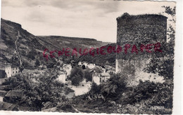 43-  BLESLE - UN OBSERVATOIRE NATUREL -LA MASSADOU ET SA TOUR DE GUET -1958 - Blesle