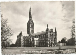 AB1520 Salisbury - Cathedral / Non Viaggiata - Salisbury